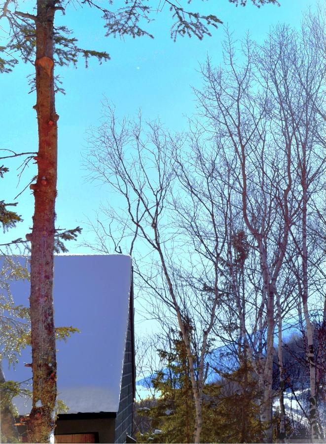 Chalet Charlevoix Experience Thermale En Pleine Nature - Nature Charlevoix - #2